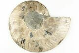 5.55" Cut & Polished, Agatized Ammonite Fossil - Madagascar - #200030-5